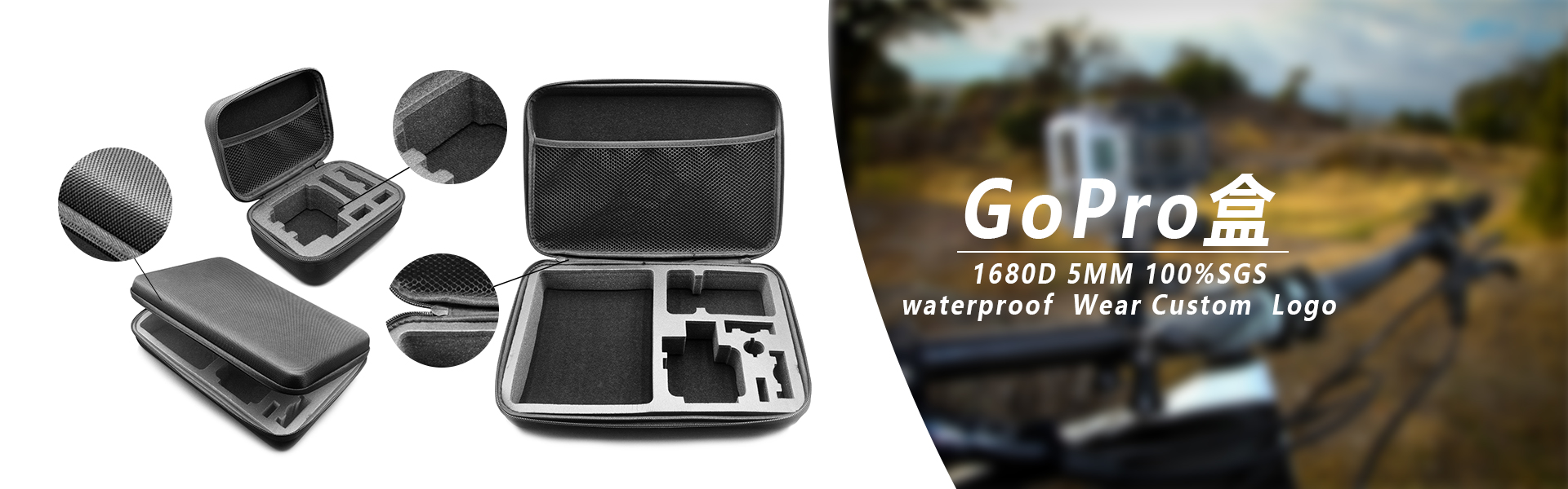 caseforgopro4